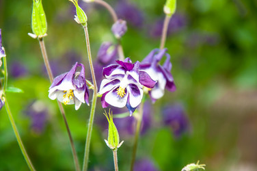 Similar image 2849646