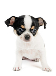 Similar image 2849670