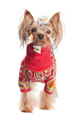 Similar image 2849673