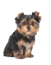 Similar image 2849674