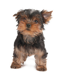 Similar image 2849675