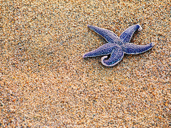 Similar image 2849716