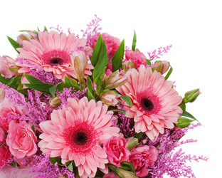 Similar image 2849739