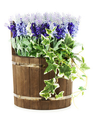 Similar image 2849746