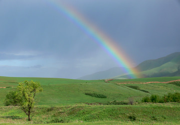 Similar image 2849751