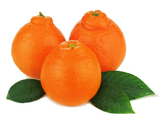 Similar image 2849788