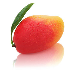 Similar image 2849794