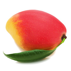 Similar image 2849795