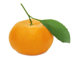 Similar image 2849819