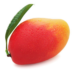 Similar image 2849823