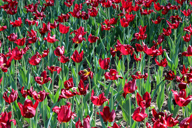 Similar image 2849938