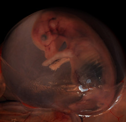 Similar image 2849948