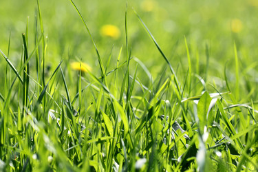 Similar image 2850001