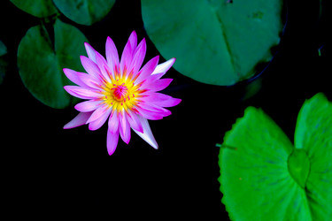 Similar image 2850006