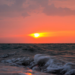 Similar image 2850009