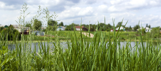 Similar image 2850050