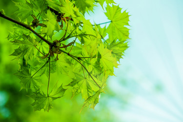 Similar image 2850060