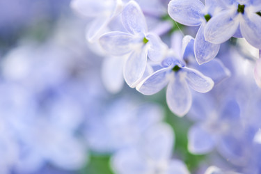 Similar image 2850077