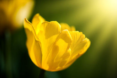 Similar image 2850078