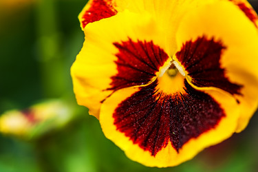 Similar image 2850079