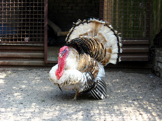 Similar image 2850081