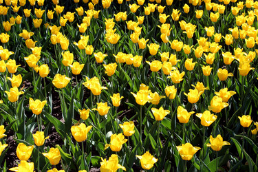 Similar image 2850103