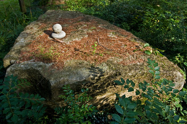 Similar image 2850126