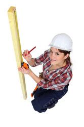 Similar image 2850277