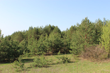 Similar image 2850758