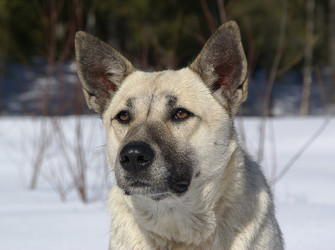 Similar image 2850768