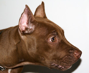 Similar image 2850771