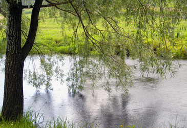 Similar image 2850775