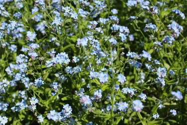 Similar image 2850782