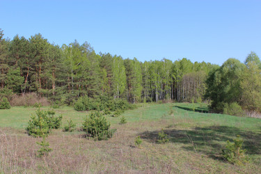 Similar image 2850923