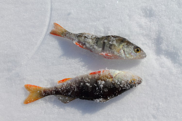 Similar image 2850953