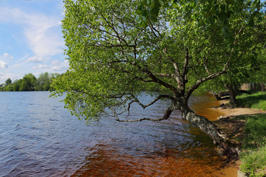 Similar image 2850954