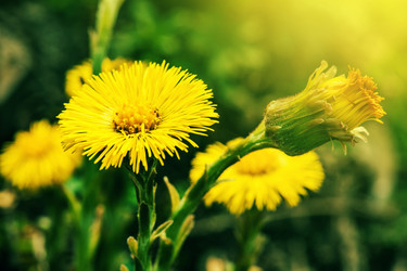 Similar image 2850961