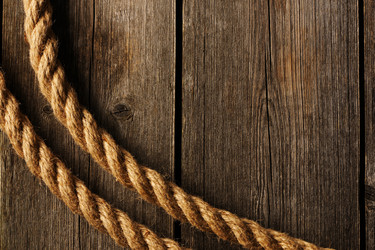 Similar image 2851087