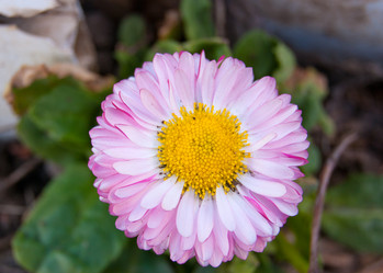 Similar image 2851131