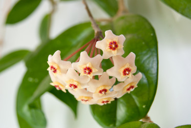 Similar image 2851134