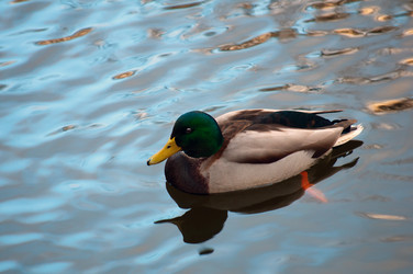 Similar image 2851136