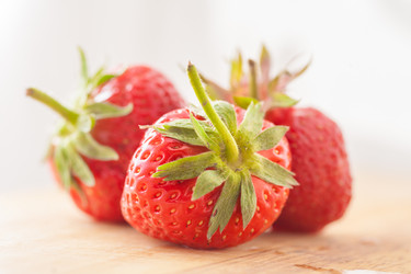 Similar image 2851270