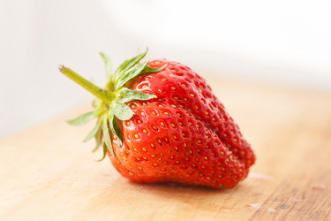 Similar image 2851271