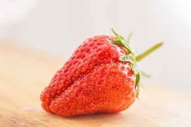 Similar image 2851272