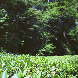 Similar image 2851342