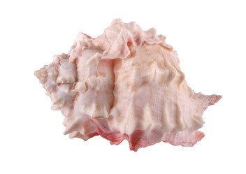 Similar image 2851357