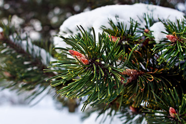 Similar image 2851385