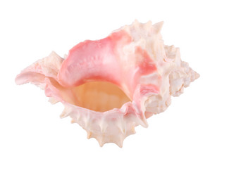 Similar image 2851448