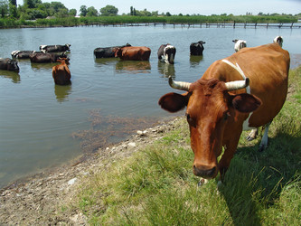 Similar image 2851498