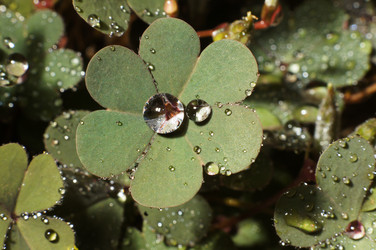 Similar image 2851499